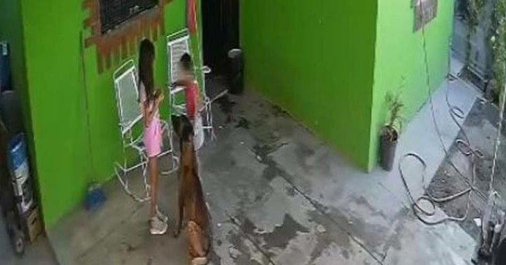 Niña recibe 68 puntos en la cabeza tras brutal ataque de perro