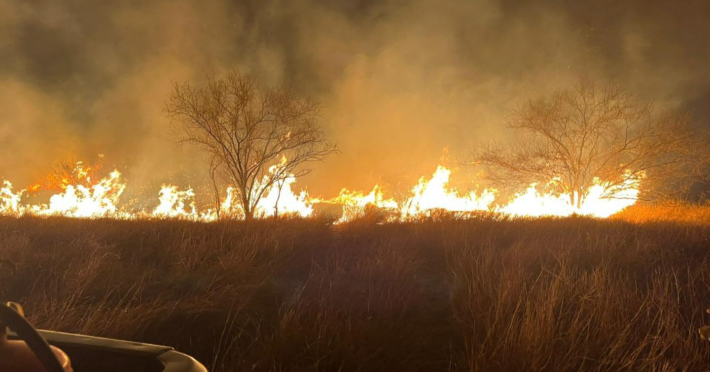 Fuerte incendio consume 35 hectáreas de vegetación