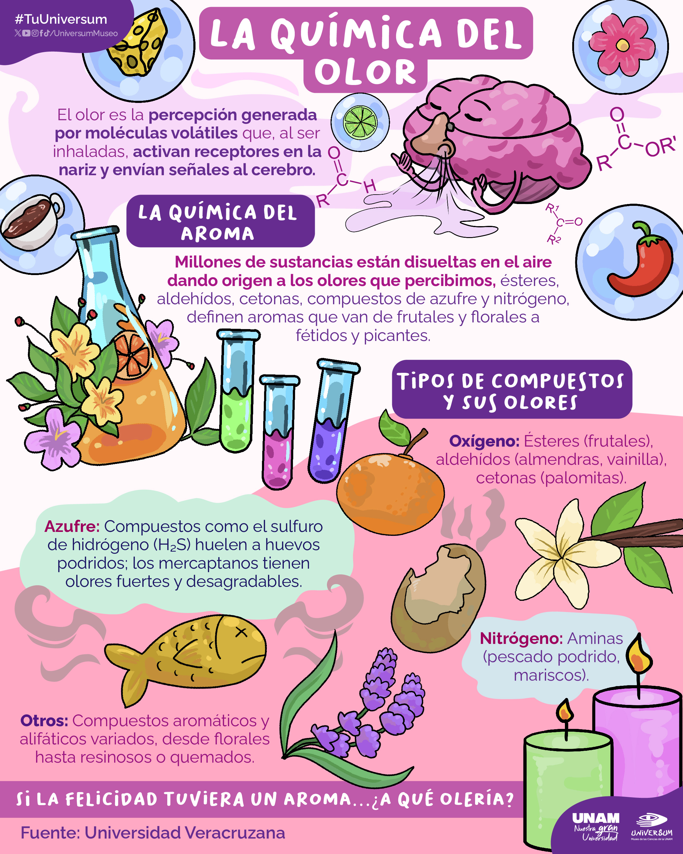 Fuente: @UniversumMuseo