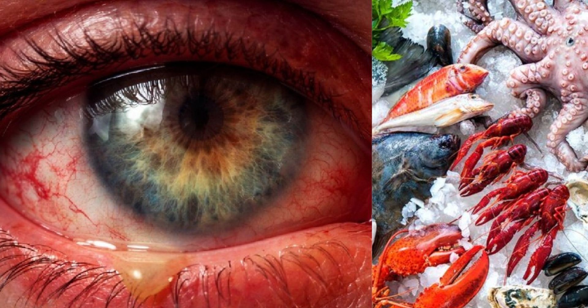 Nuevo Nodavirus de Mortalidad Encubierta se detecta en China ¿Qué dicen los científicos?