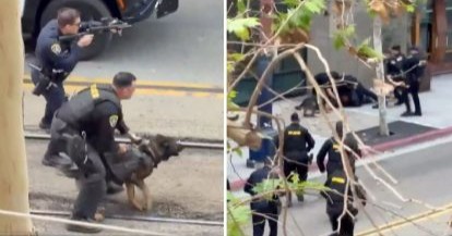 Perro policía K9 logra detención de agresor en San Diego tras ataque a trabajador