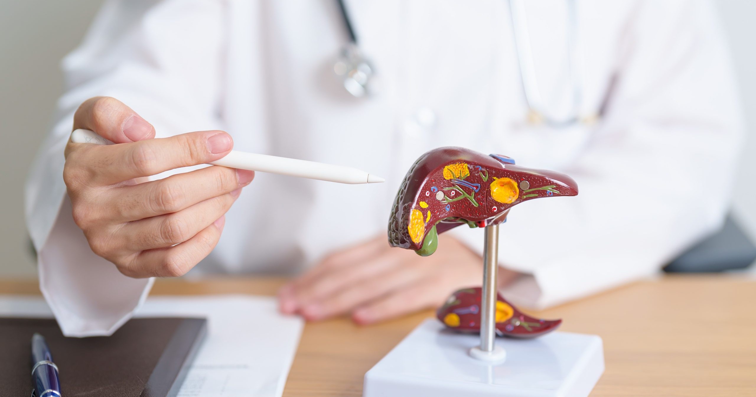 ¿Cómo cuidarte este Día Mundial del Hígado?