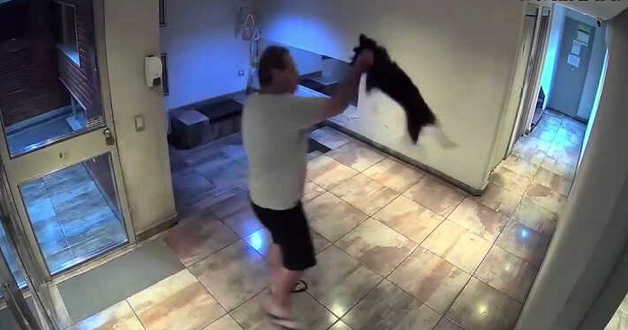 Hombre es detenido tras violentar a su mascota en zona departamental de Italia