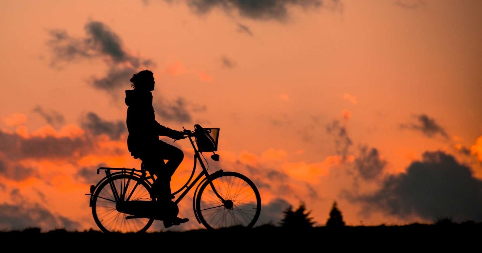 El viaje con LSD que motivó el Día Mundial de la Bicicleta