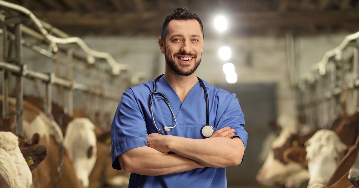 Día Mundial del Veterinario, ¿cómo estos especialistas ayudan a prevenir epidemias?