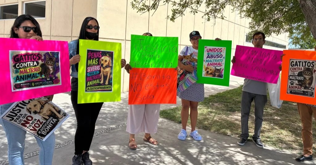 Rescatistas exigen justicia por presunto abuso contra perrita en Monclova