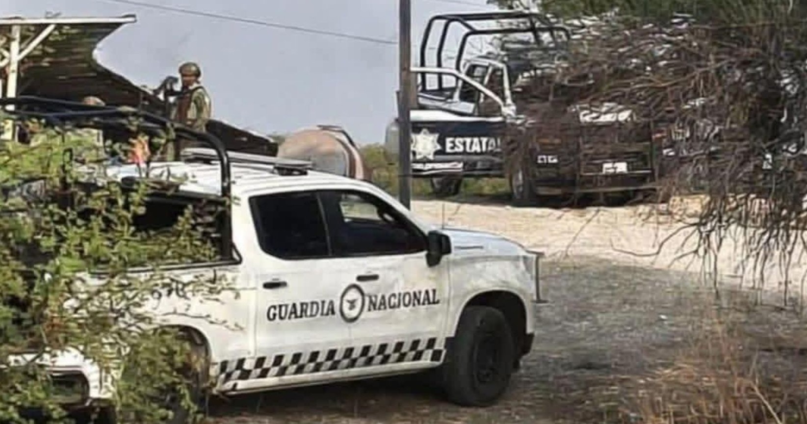 Masacre en Puebla: Comando armado asesina a diez personas en Tehuitzingo