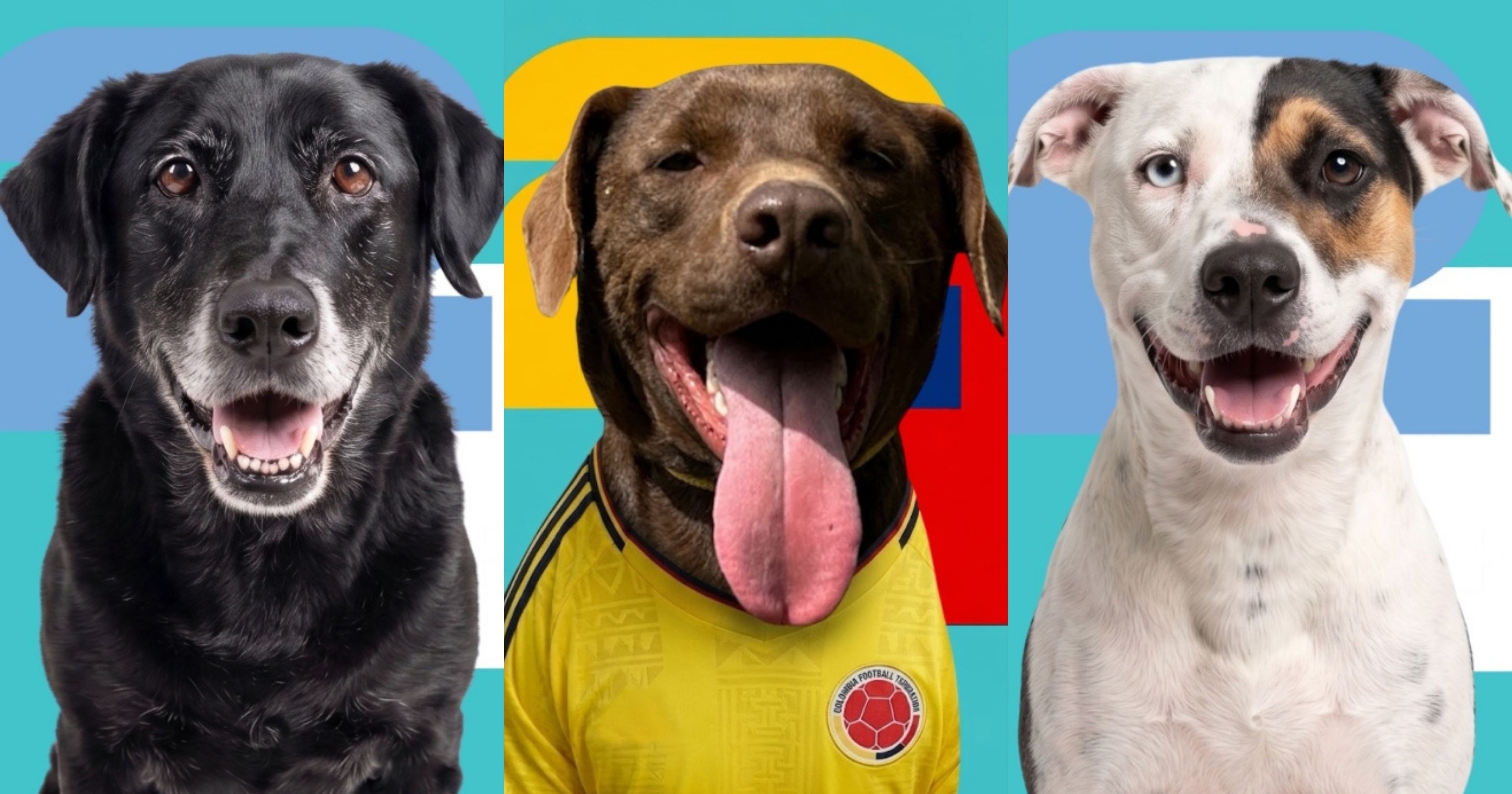 ¡La selección más adorable! Refugio realiza campaña de 'estampitas' del mundial, ¡pero con perritos!