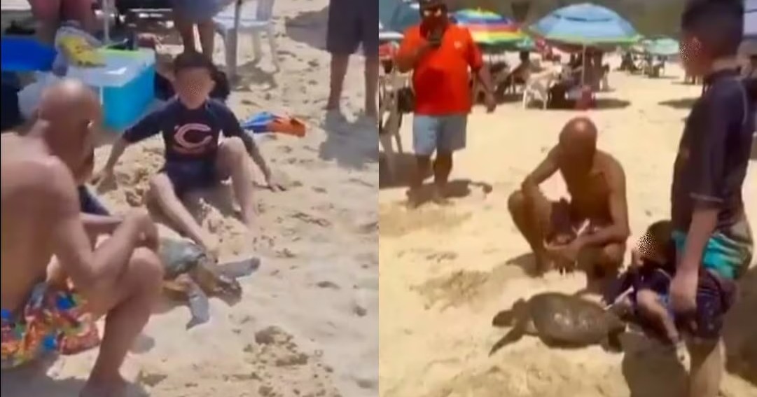 Turistas sacan tortuga marina del mar en playa de Huatulco y genera indignación