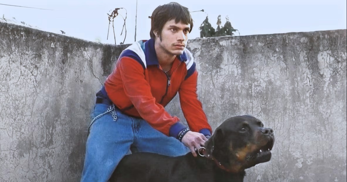 ¡Confirmado! 'Amores Perros' tendrá nueva serie de televisión