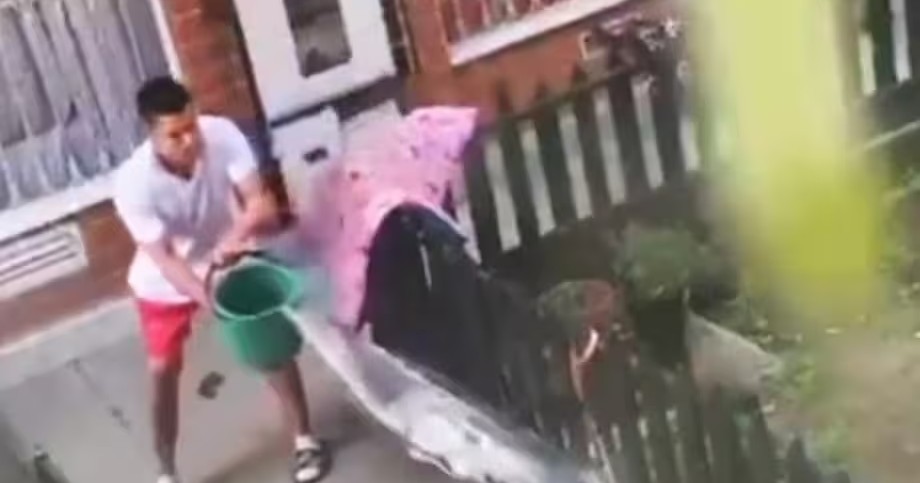 Indigna video de maltrato contra una perrita en Bogotá