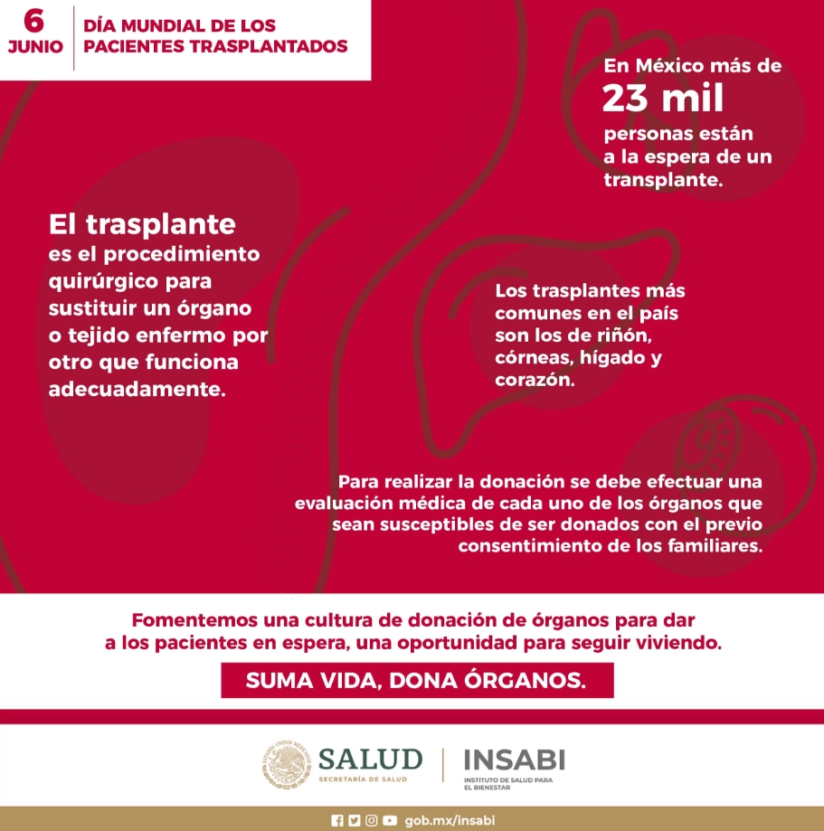 Portal del gobierno de México