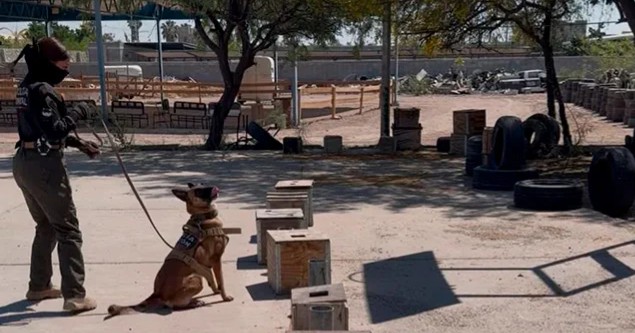 Unidad K9 de Torreón fortalece la seguridad y prevención del delito