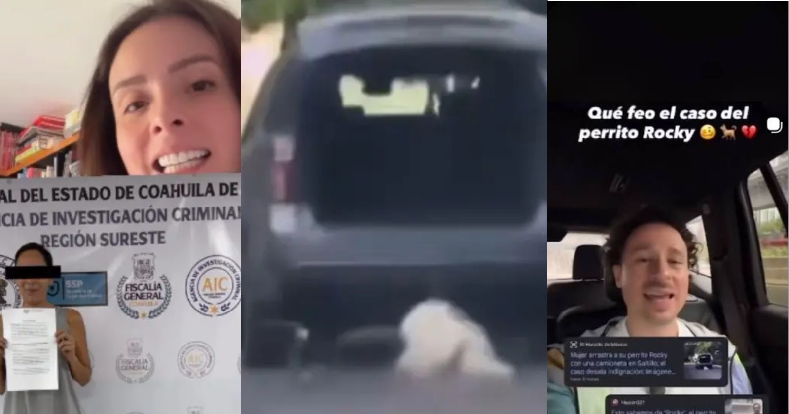 Exigen justicia por Rocky; Maryfer Centeno y Luisito Comunica se suman al caso