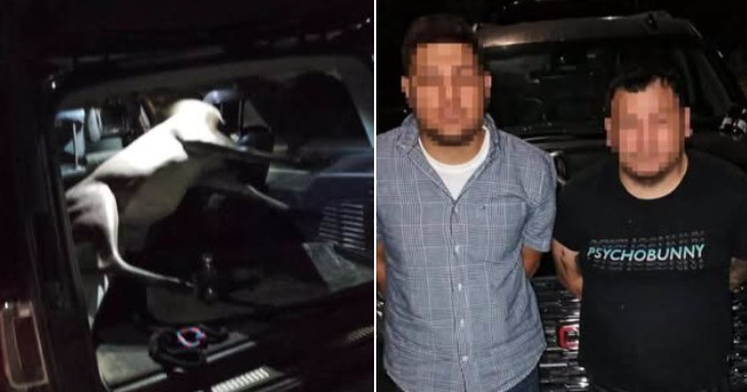 Sorprenden a dos sujetos hurtando el monumento al venado en el Pueblo Mágico de Candela