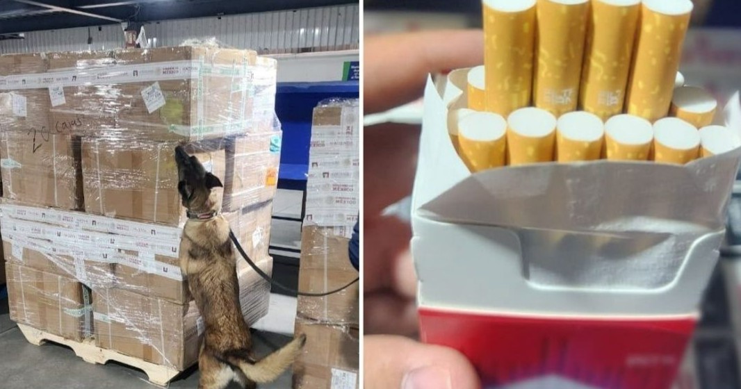 Aseguran más de dos millones de cigarros presuntamente apócrifos en el AICM