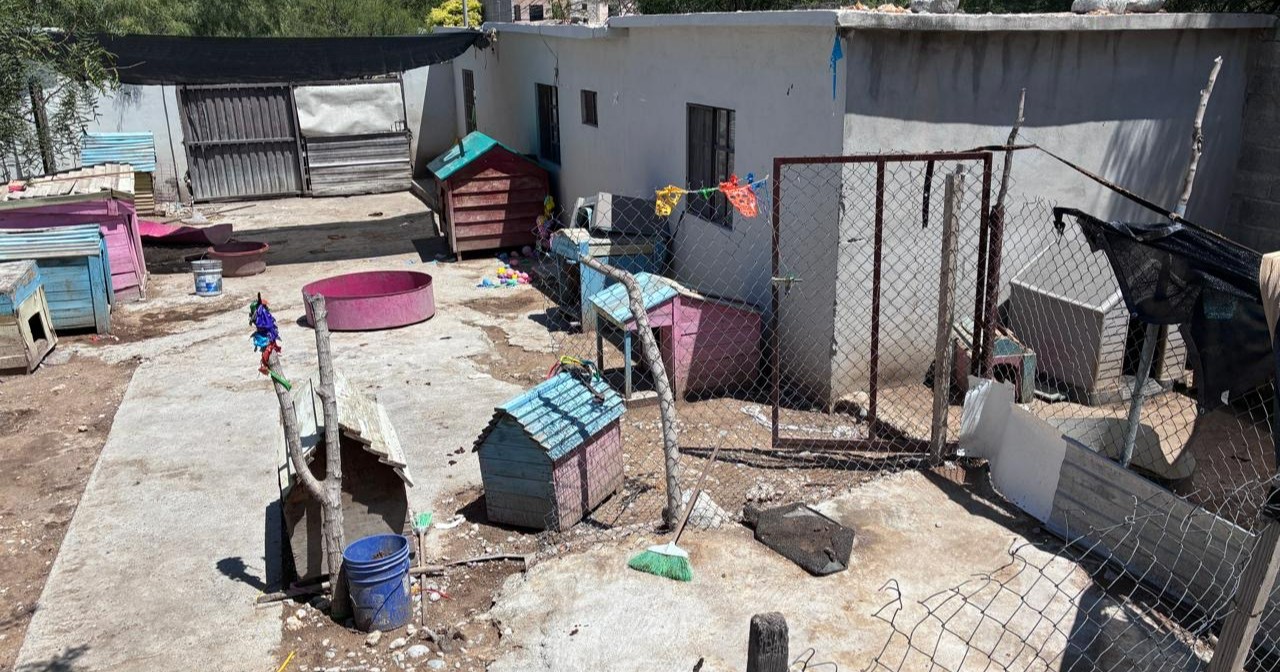 Centro de bienestar animal en Monclova alza la mano para resguardar a  63 perros rescatados