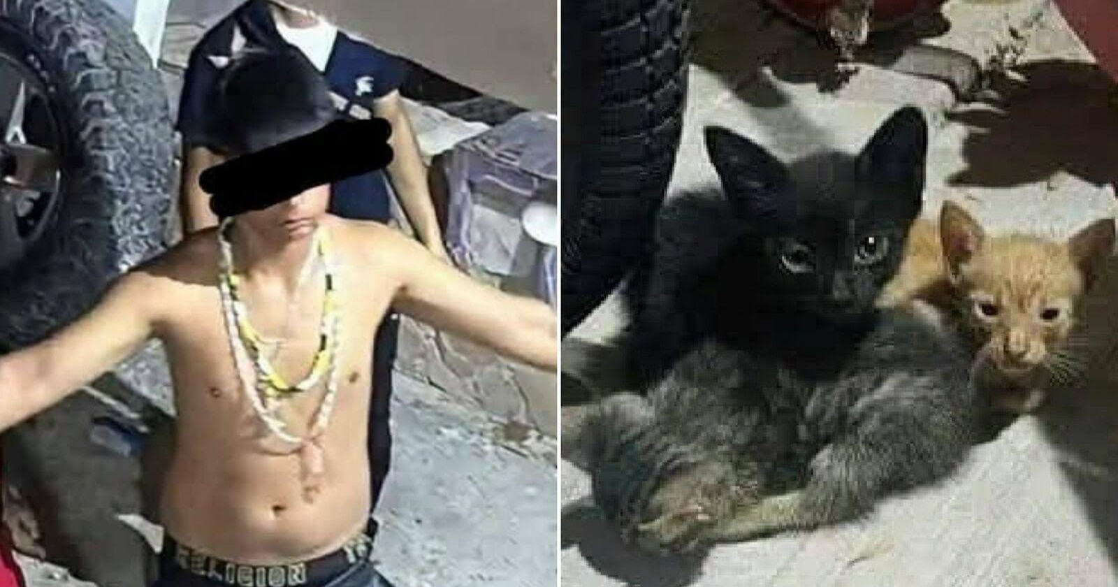 Menor acusado de matar a dos mascotas en Acuña queda bajo resguardo domiciliario