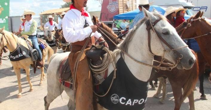 Autoridades firman convenio de protección animal previo a la Gran Cabalgata 2026