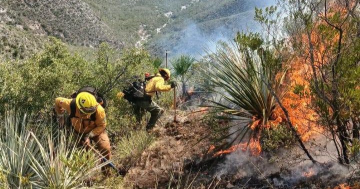 Brigadistas controlan incendio en la sierra de Candela