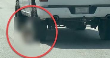Captan a hombre arrastrando a perro por la calle en Acuña