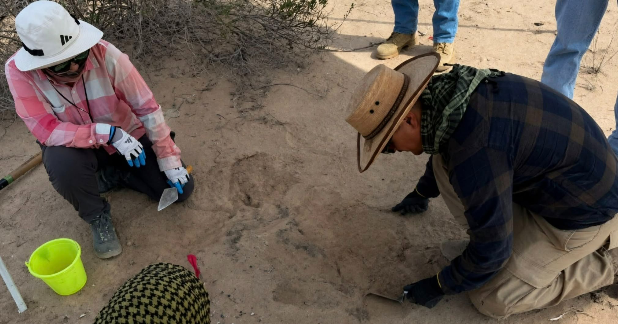 Grupo Vida localiza campo de exterminio en Viesca