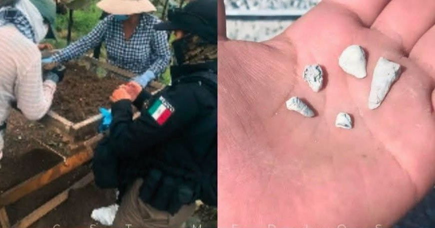 Madres buscadoras localizan mil 600 restos dentales infantiles en Michoacán 