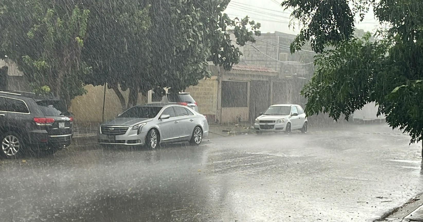 Fuerte tormenta provoca apagones, árboles caídos y afectaciones viales en Torreón