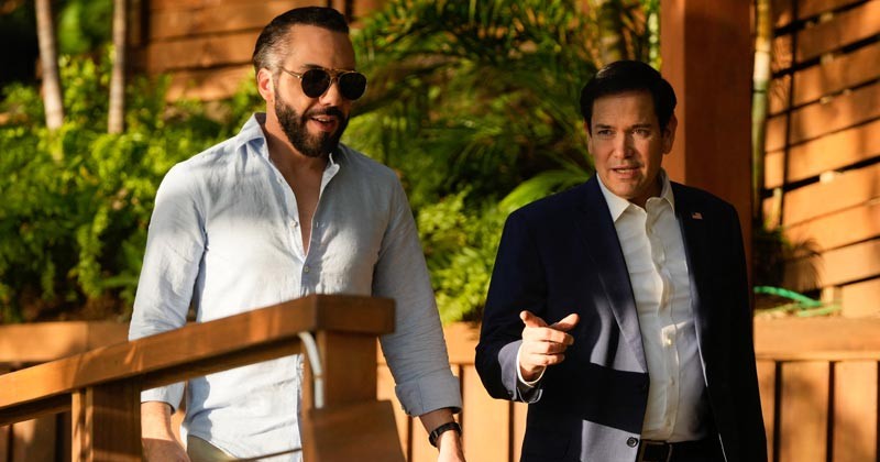 Discuten Marco Rubio y Nayib Bukele estrategia contra la "influencia extranjera maligna"