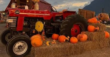 VIDEO: Tractor sin control causa daños en festival Pumpkin Dash de Monterrey