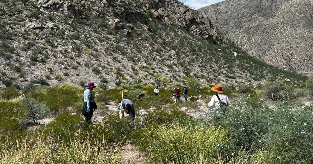 Colectivo localiza restos humanos durante búsqueda en Puerto de Perico, Matamoros