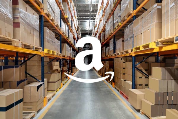 Amazon FBA Wholesale Virtual Assistant