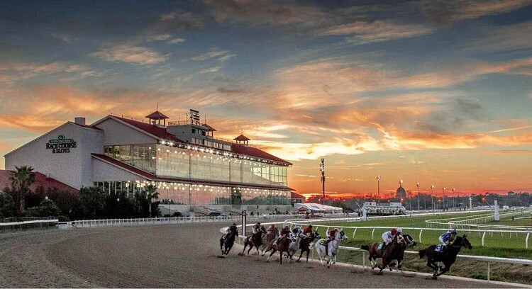 Derby Delight: Fairgrounds