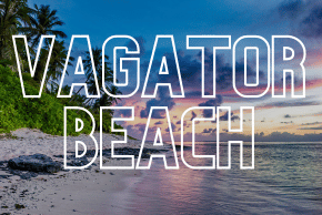 vagator beach escorts