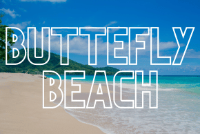 buttefly beach escorts