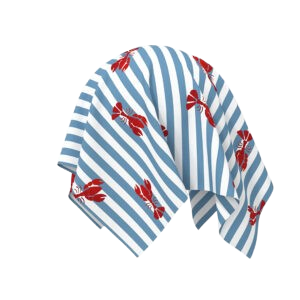 3D Apparel Render