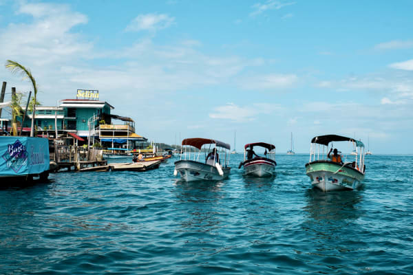 Tropical Island Ecosystems: The Human Impact