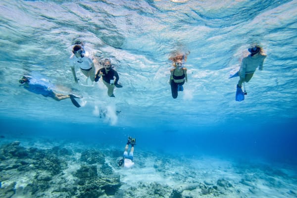 Students snorkel through clear turquoise waters off South Caicos