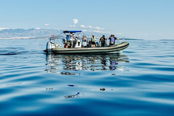 Students aboard a research boat along Croatia's Mediterranean coastline
