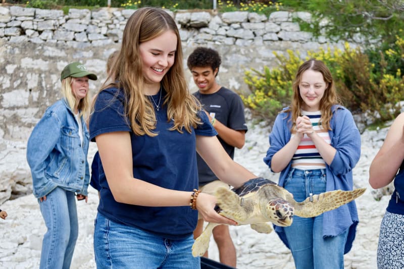 Students gently interact with a sea turtle during a hands-on health assessment.