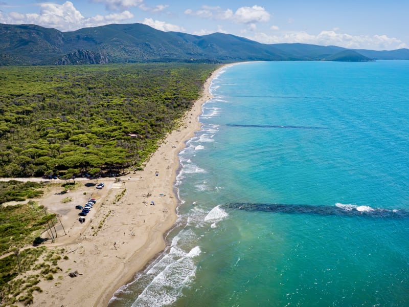Aerial view of the Maremma coast where pine forest meets sand and turquoise sea