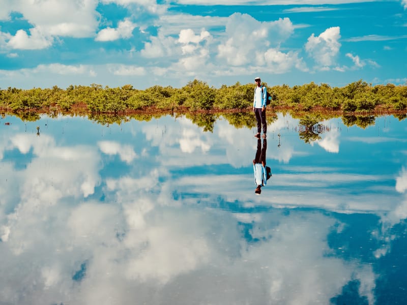 A person wades through glassy shallows with low mangroves along the shore