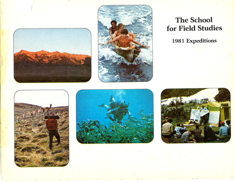 Cover of the 1981 SFS catalog, titled The School for Field Studies 1981 Expeditions, with five color photographs of students in the field.