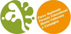Parco Nazionale Foreste Casentinesi, Monte Falterona e Campigna