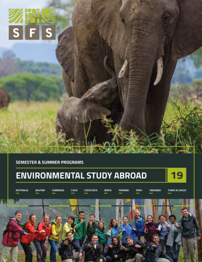 SFS 2019 Catalog Cover