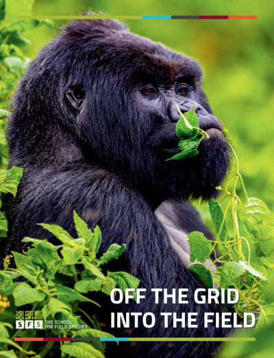 SFS 2025 Catalog Cover
