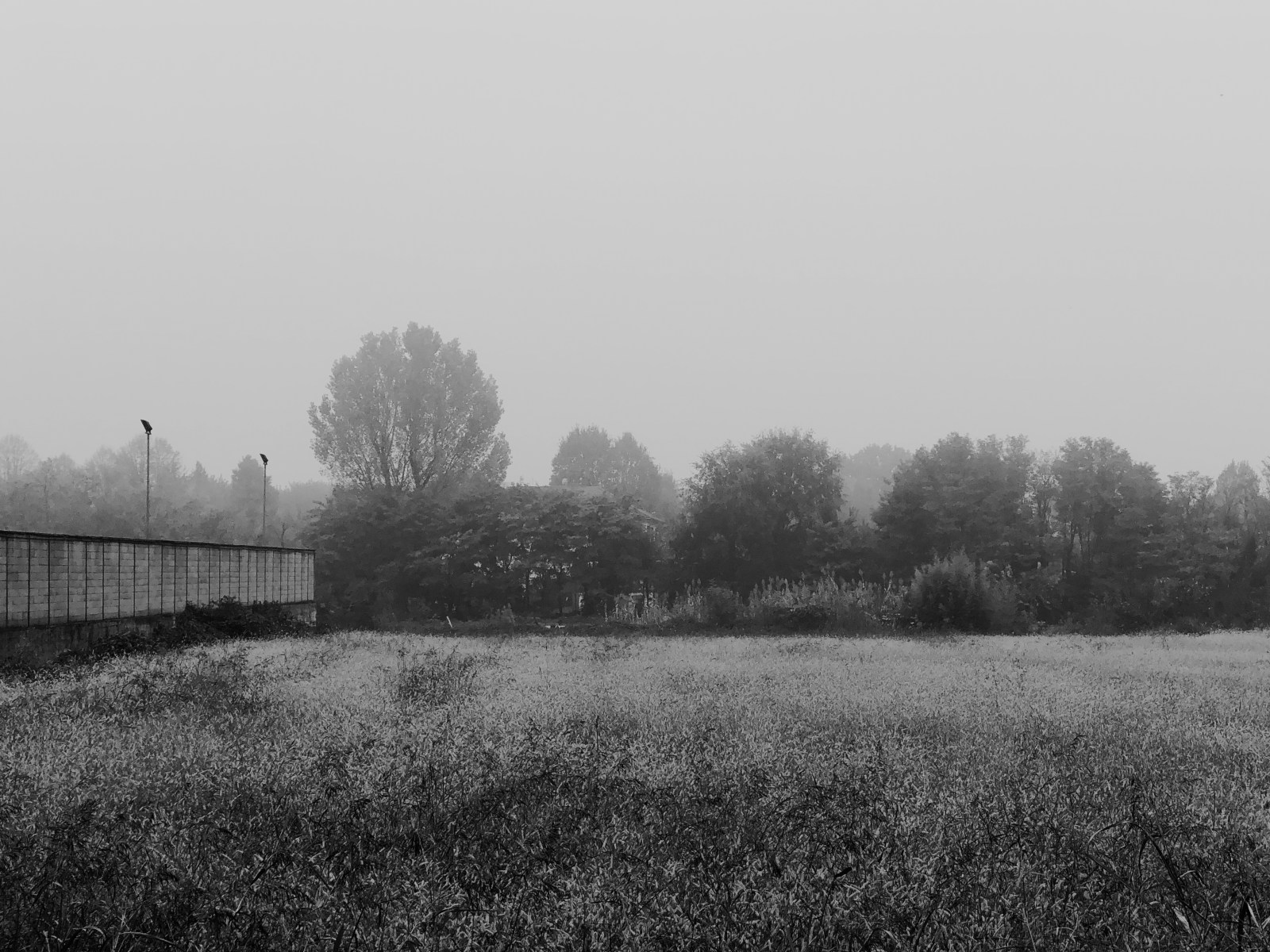 Cimitero di Ponte Sesto - Image 4