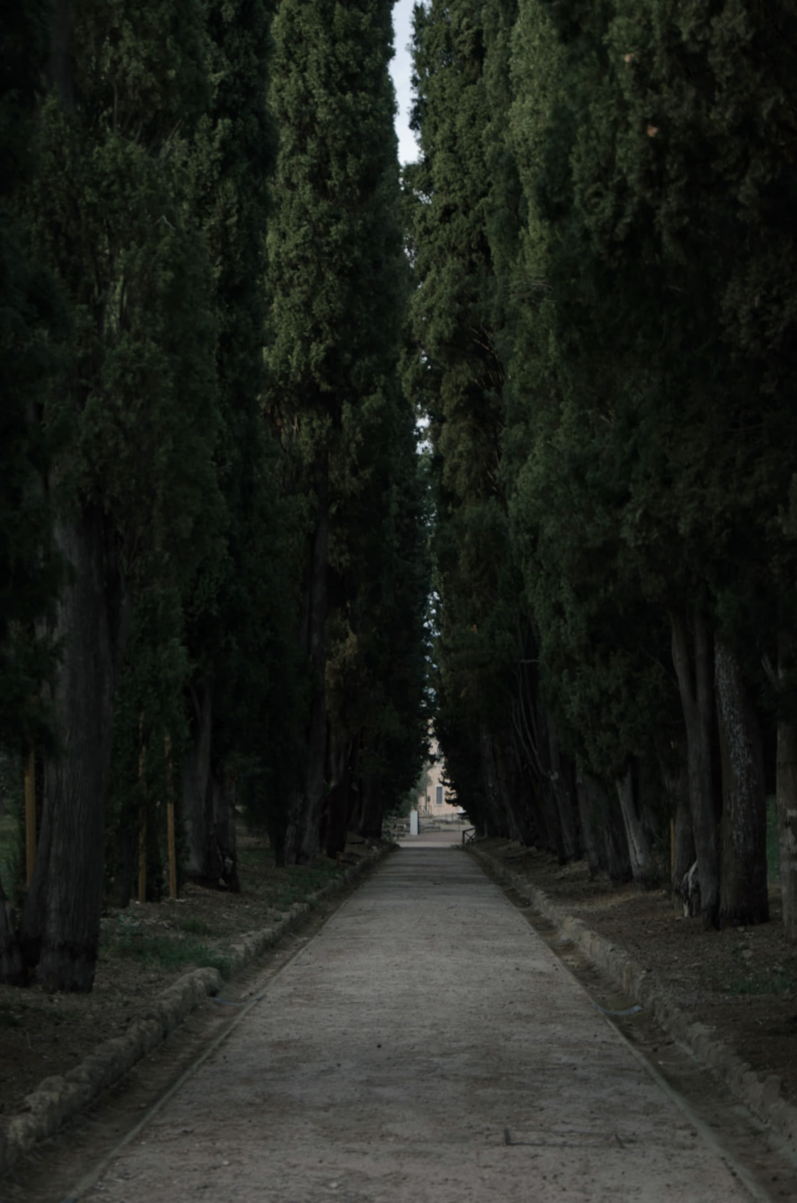 Villa Adriana - Image 8
