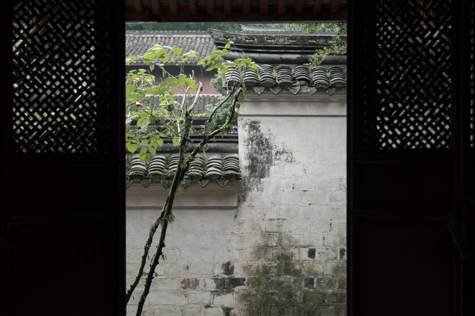 Baoguo Temple - Image 7