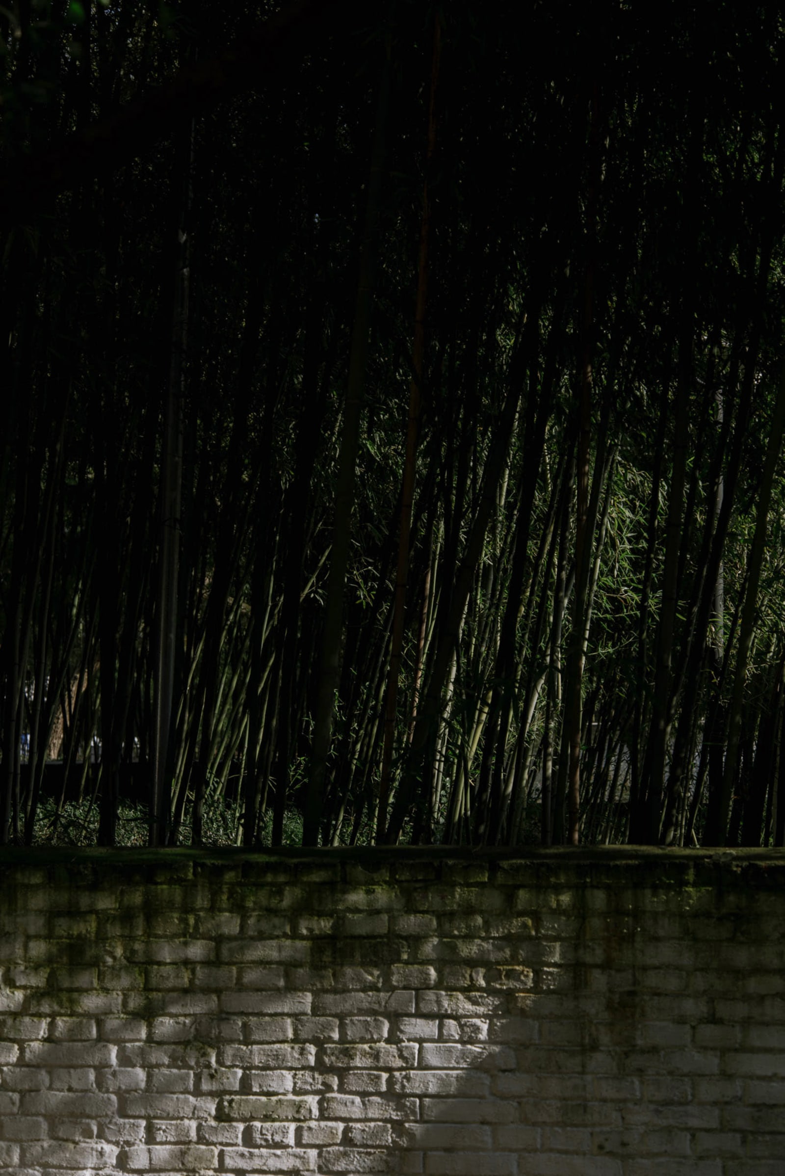 He Lou Xuan - Image 8